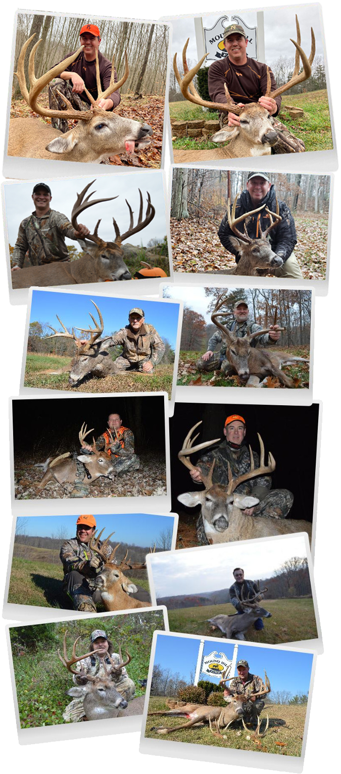 Eleven great deer for Mound Hill Whitetails clients